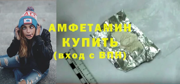 мдпв Елабуга