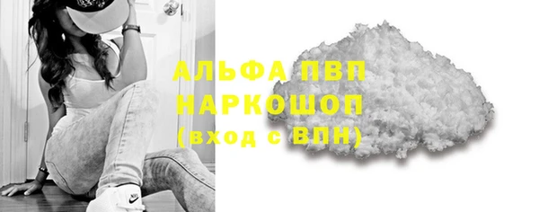 мдпв Елабуга