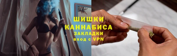 дмт Елизово
