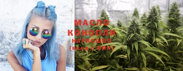 мдпв Елабуга