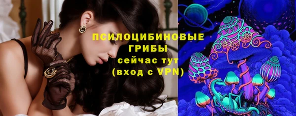 не бодяженный Ельня