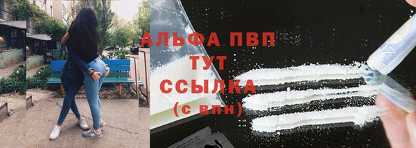 мдпв Елабуга