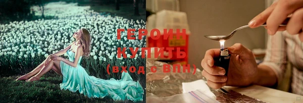 мдпв Елабуга