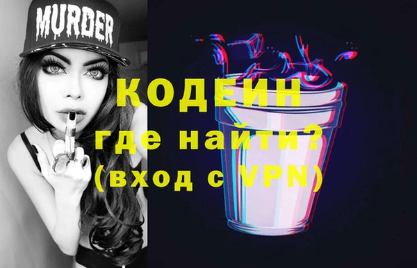 дмт Елизово