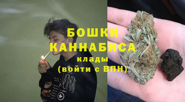 мдпв Елабуга