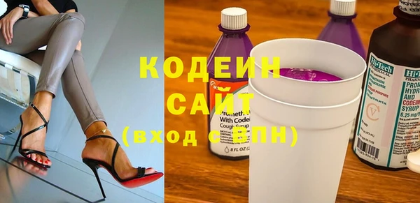 мдпв Елабуга