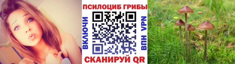 Псилоцибиновые грибы MAGIC MUSHROOMS  Калачинск 